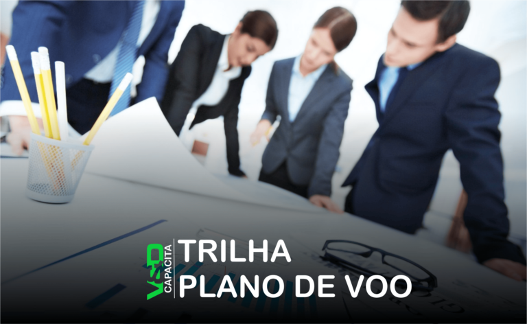 V&D Capacita – Módulo Plano de Voo