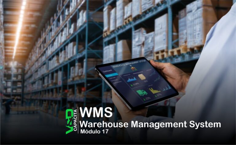 V&D Capacita – Módulo WMS – Em Andamento – (Warehouse Management System ou Sistema de Gerenciamento de Armazém)